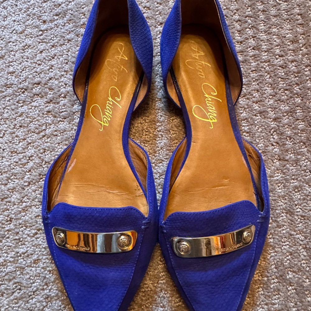 Arturo Chiang cobalt blue flats size 9.5